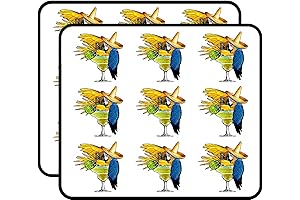 Margarita Parrot Vinyl Stickers: Liven Up Cars with Zippy Designs