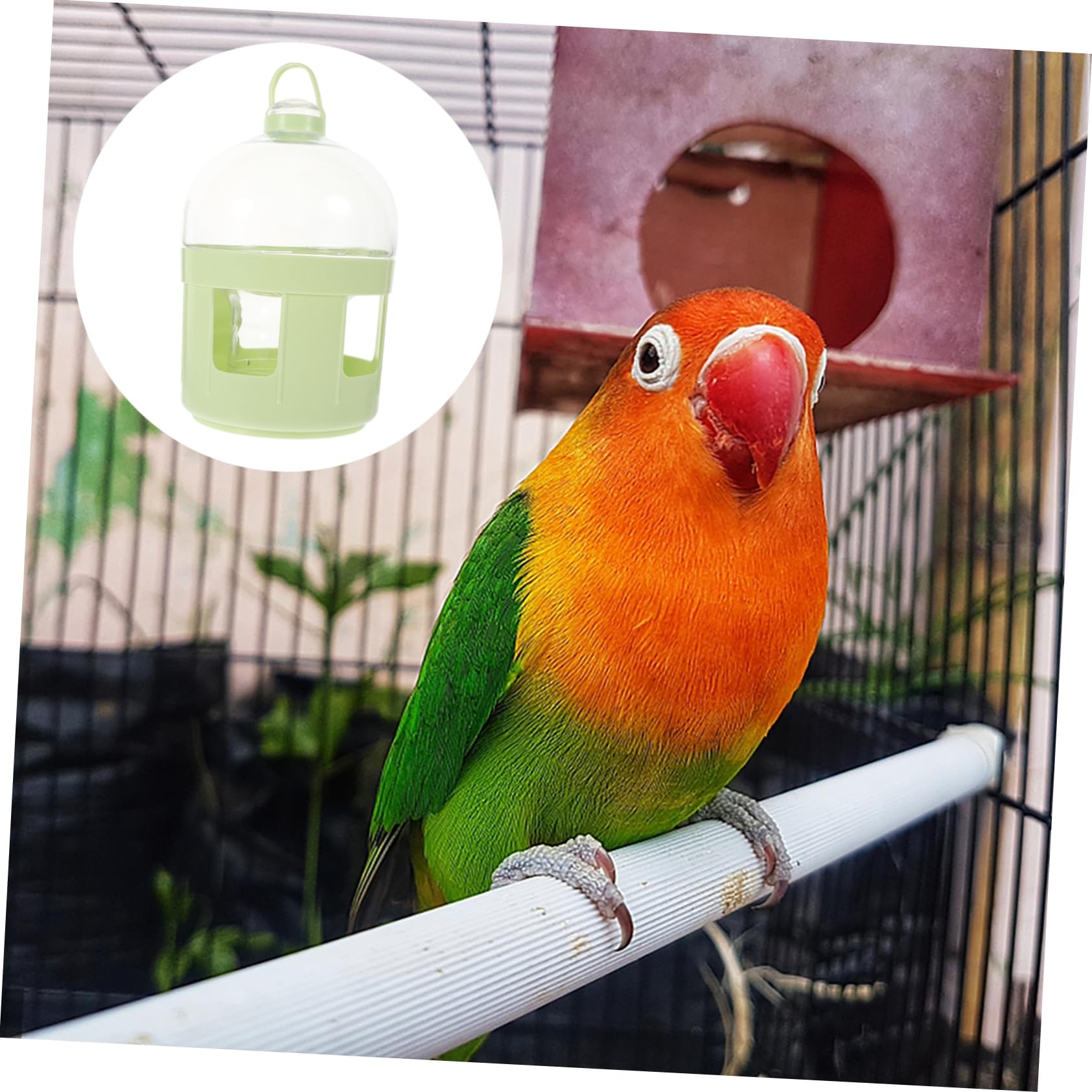 BESPORTBLE 2stücke Vogelfutter Wasserbehälter Automatischer Wasserspender Für Tauben Und Andere Vögel Praktischer Trinker Für Haustiere Robust Und Sicher Für Gesundes Trinken Grünes