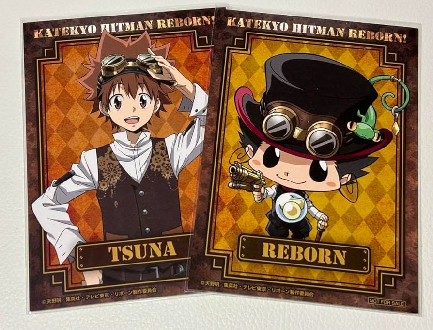 家庭教師ヒットマンREBORN リボーン 沢田綱吉 ブロマイド