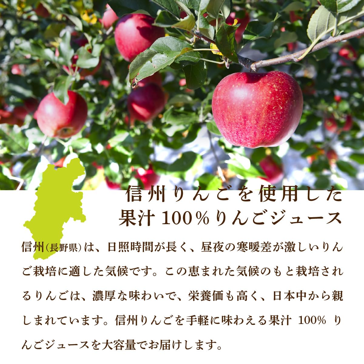 Amazon.co.jp: 信州 りんごジュース 果汁100％ 30缶入り 195ml缶 長野