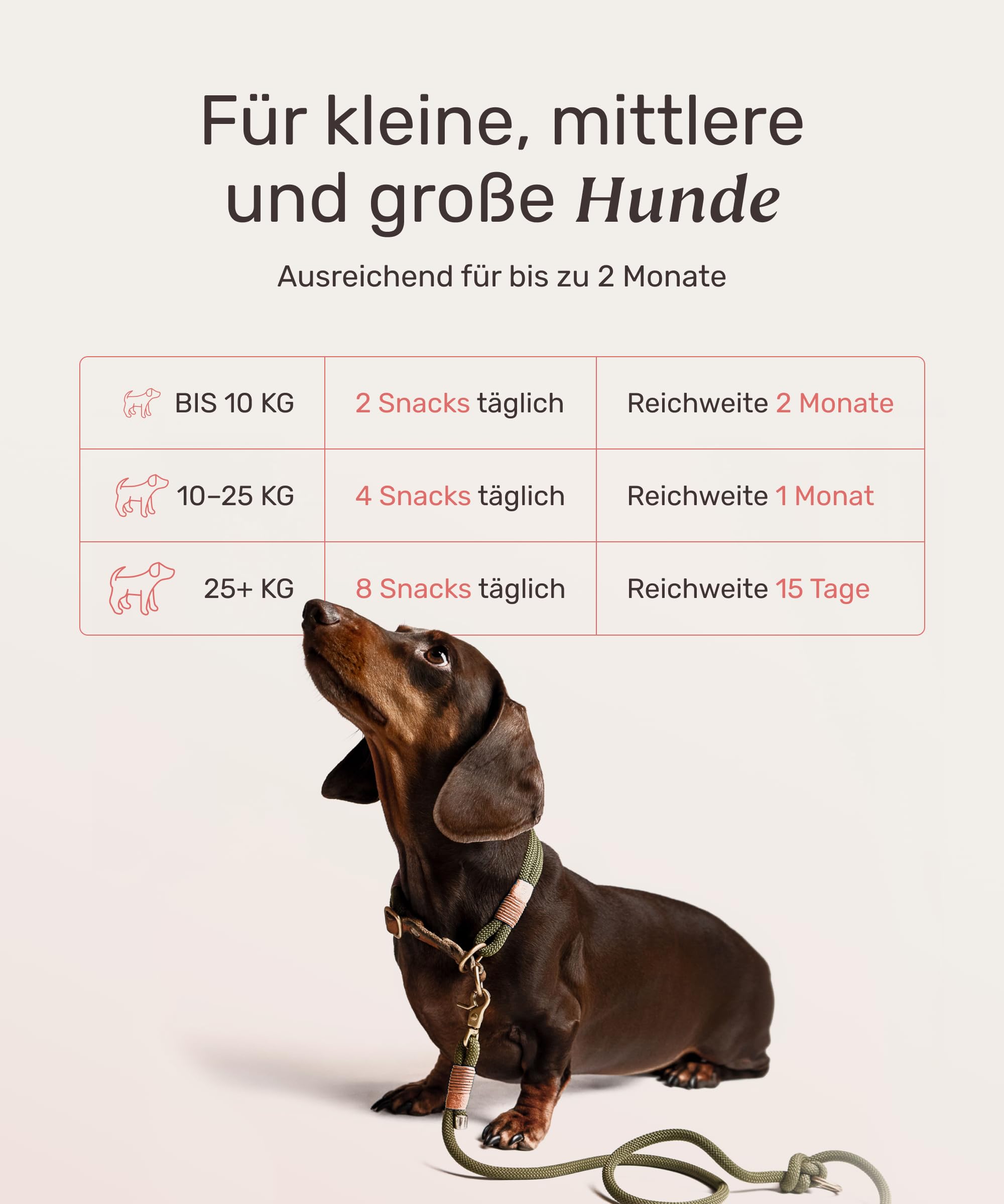 mammaly Fellpflege Leckerlis Hund mit Bierhefe & Biotin 350g - 120x Shiny Hair Snacks gegen Haarausfall & Juckreiz Hunde mit Probiotika - Vitamin Komplex (C, E, D3, Beta-Carotin, Zink)