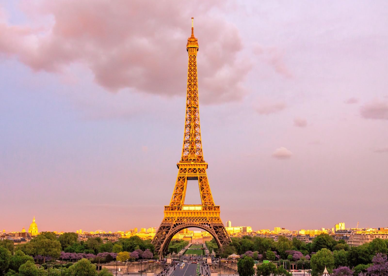 10x10FT (3x3m) Torre Di Parigi Con Cielo Rosa Sfondo Fotografico