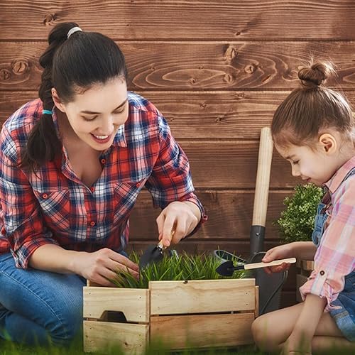 Miniatura 2 de Luxshiny Gardening Tool for Succulents and Bonsai Plants Potting Shovel Transplanting Tools Watering Kettle and Scissors with Ergonomic Design for