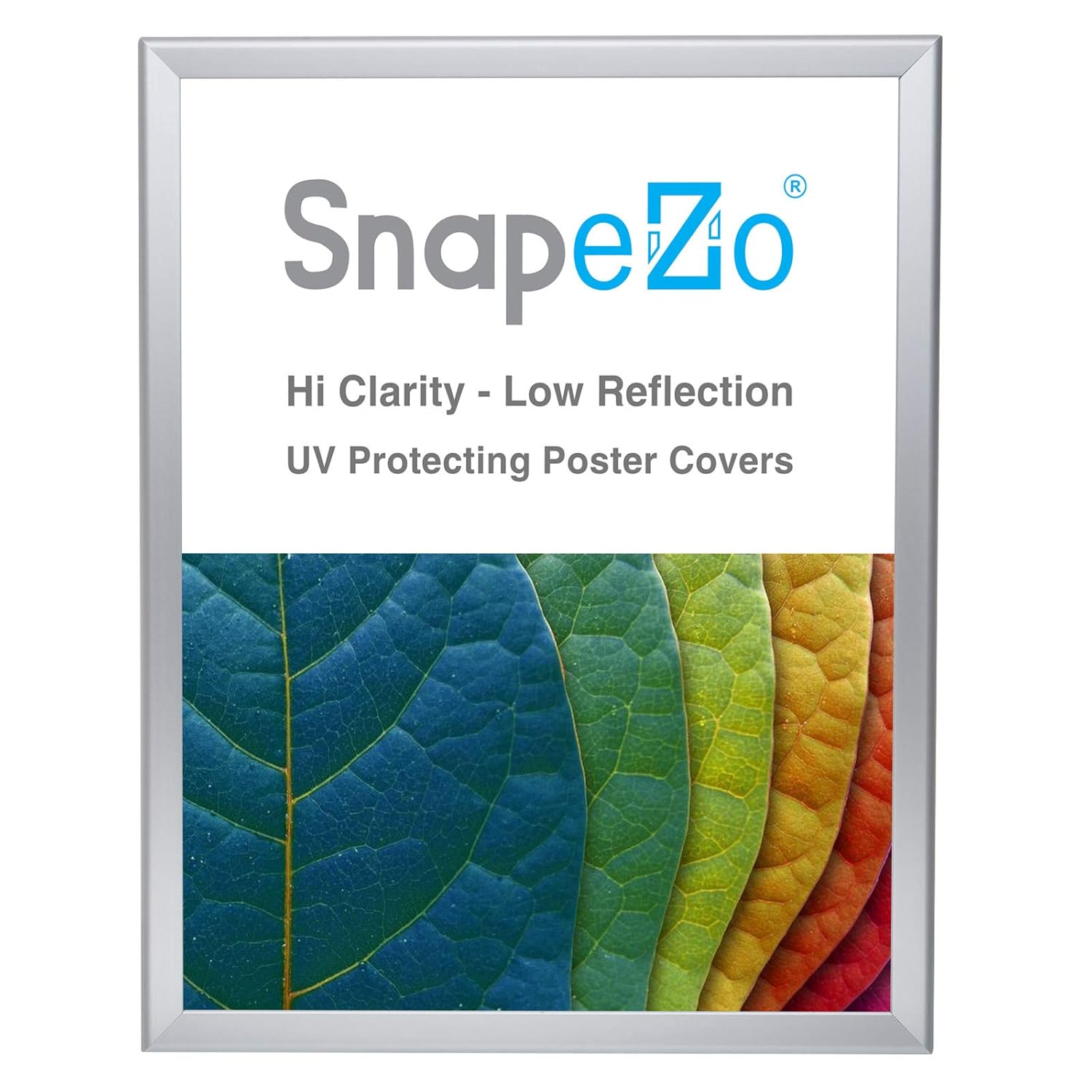 Buy SnapeZo Poster Frame 22x28, Silver, 1.25 Inch Aluminum Profile