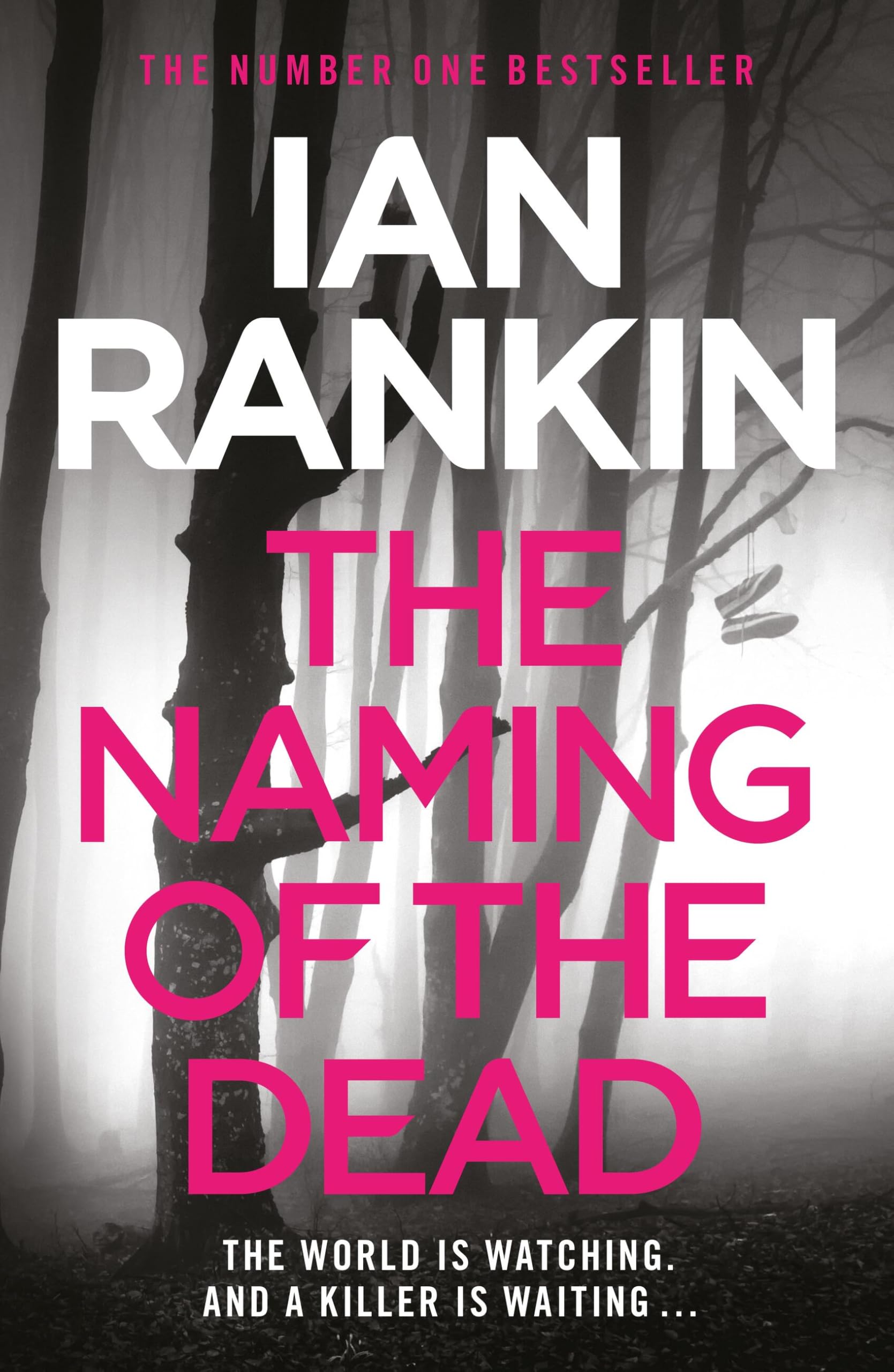 The Naming of the Dead: The number one bestselling series that inspired BBC One’s REBUS (A Rebus Novel)