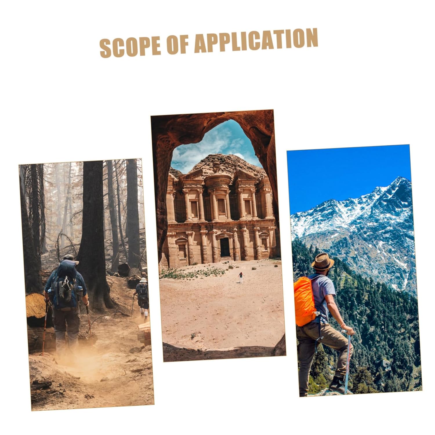 CHICAMPERA 純銅製 プローブロッド 軽量携帯用解式 探知棒 コンパス付き龍頭型ダウジングツール 水源探索用実用検出器