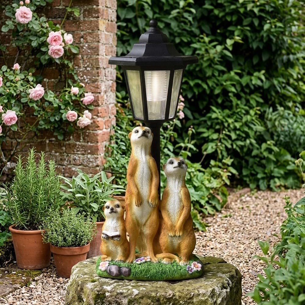 Fauhapyway Statua di suricato a energia solare, 24 cm, luce LED