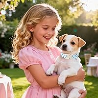 Vista 203 de DOGWONG Collar de perro Airtag de algodón y cáñamo, collar resistente para perros con soporte para Airtag, collares verdes para perros pequeños