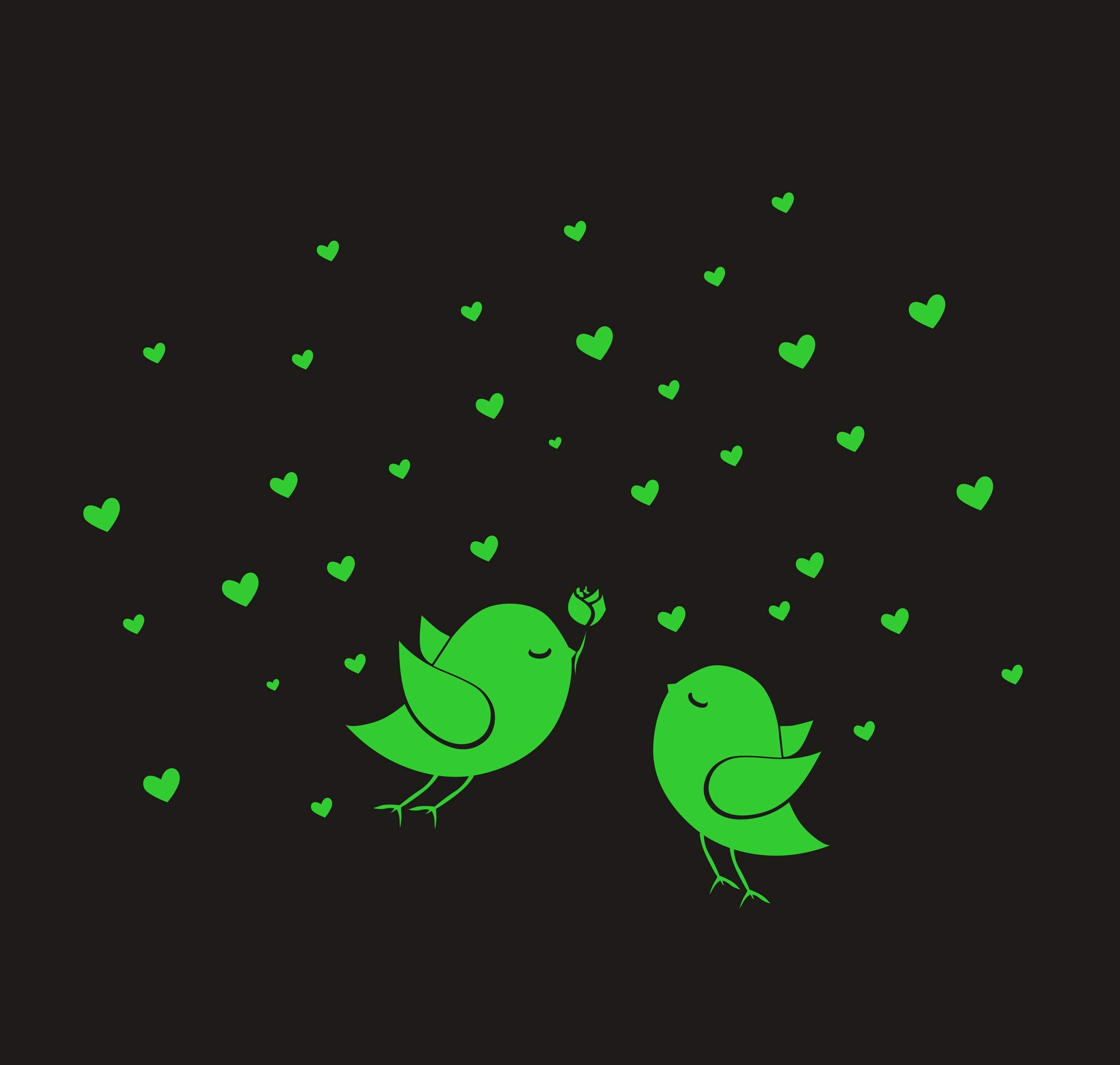 Dreamkraft Monk wish Glow in The Dark Birds and Star Radium Attractive Wall Sticker for Kids Bedroom,Room Ceiling (60x46CM) (B09ZHW978Z) Amazon Price History, Amazon Price Tracker
