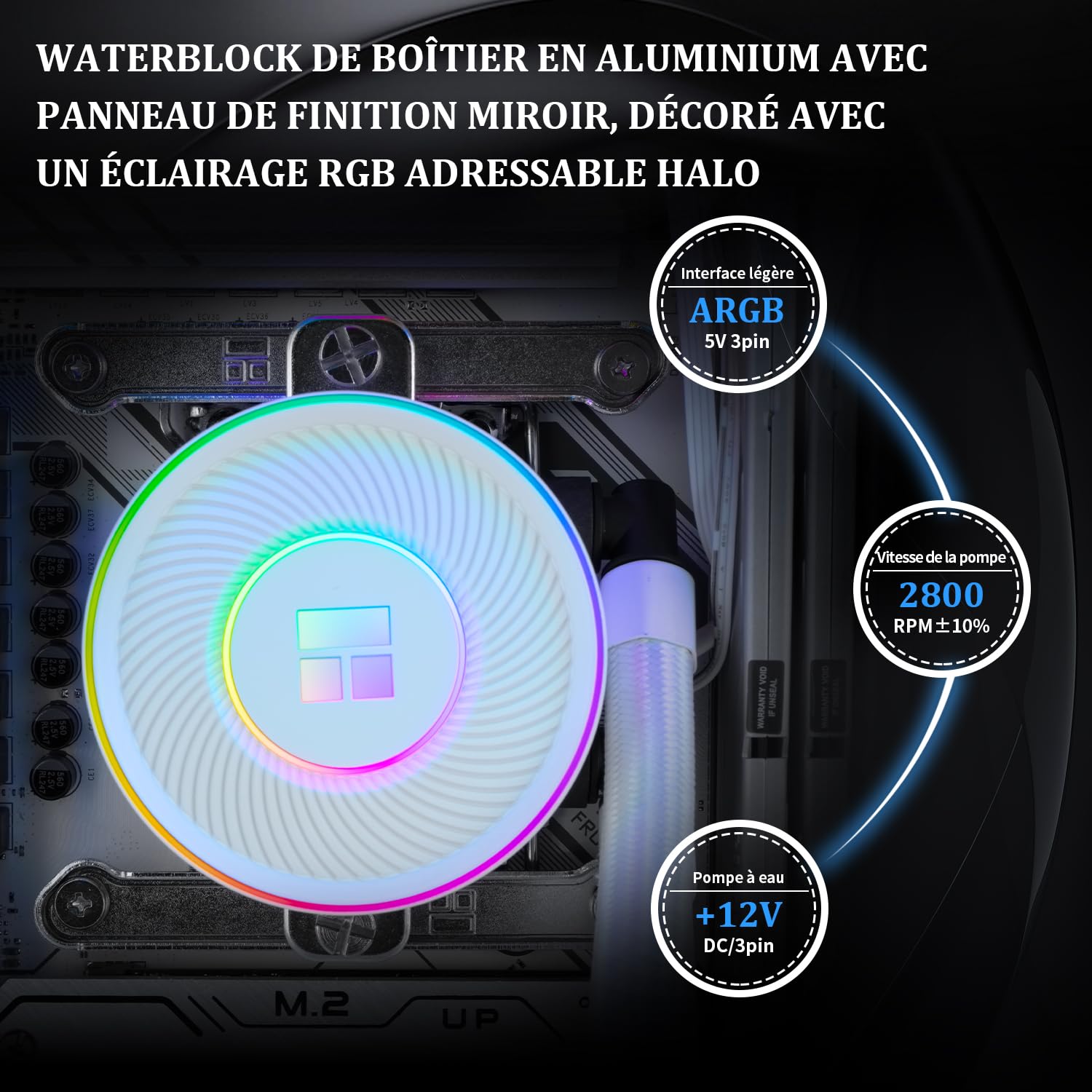 Thermalright Aqua Elite 240 V5 ARGB - Raffreddatore liquido CPU bianco 240 mm, 2 ventole TL-S12-W PWM, per AM4/AM5, Intel LGA115X/1200/1700/1851 AIO