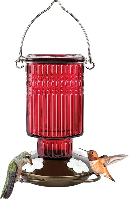 Nature's Way Hanging Glass Hummingbird Feeder for Outdoor Decor, 22 Ounce Capacity Nectar Feeder, 4 Easy to Clean Flexible Ports, Red