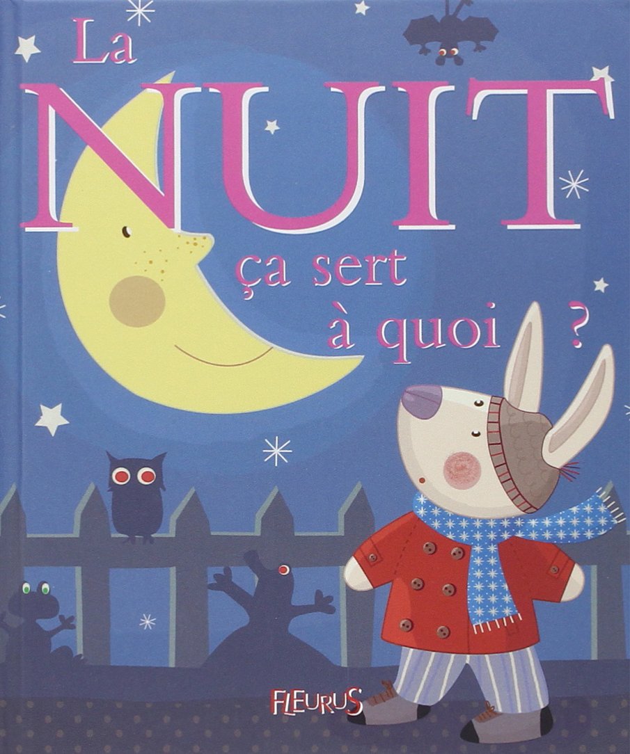 La nuit ça sert à quoi? : Bellier, Sophie: Amazon.ca: Books