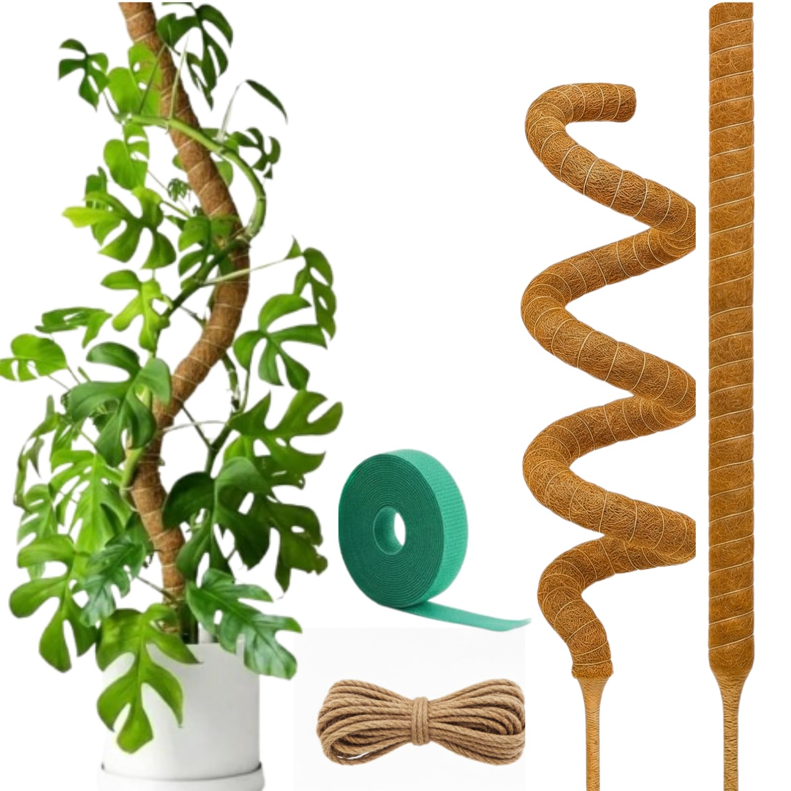 Lot de 2 bâtons de Mousse Pliables pour Plantes Monstera de 152,4 cm de Haut | Grands poteaux pour Plantes grimpantes | Bâtons de Plantes Faits à la Main pour Plantes Hautes en Pot