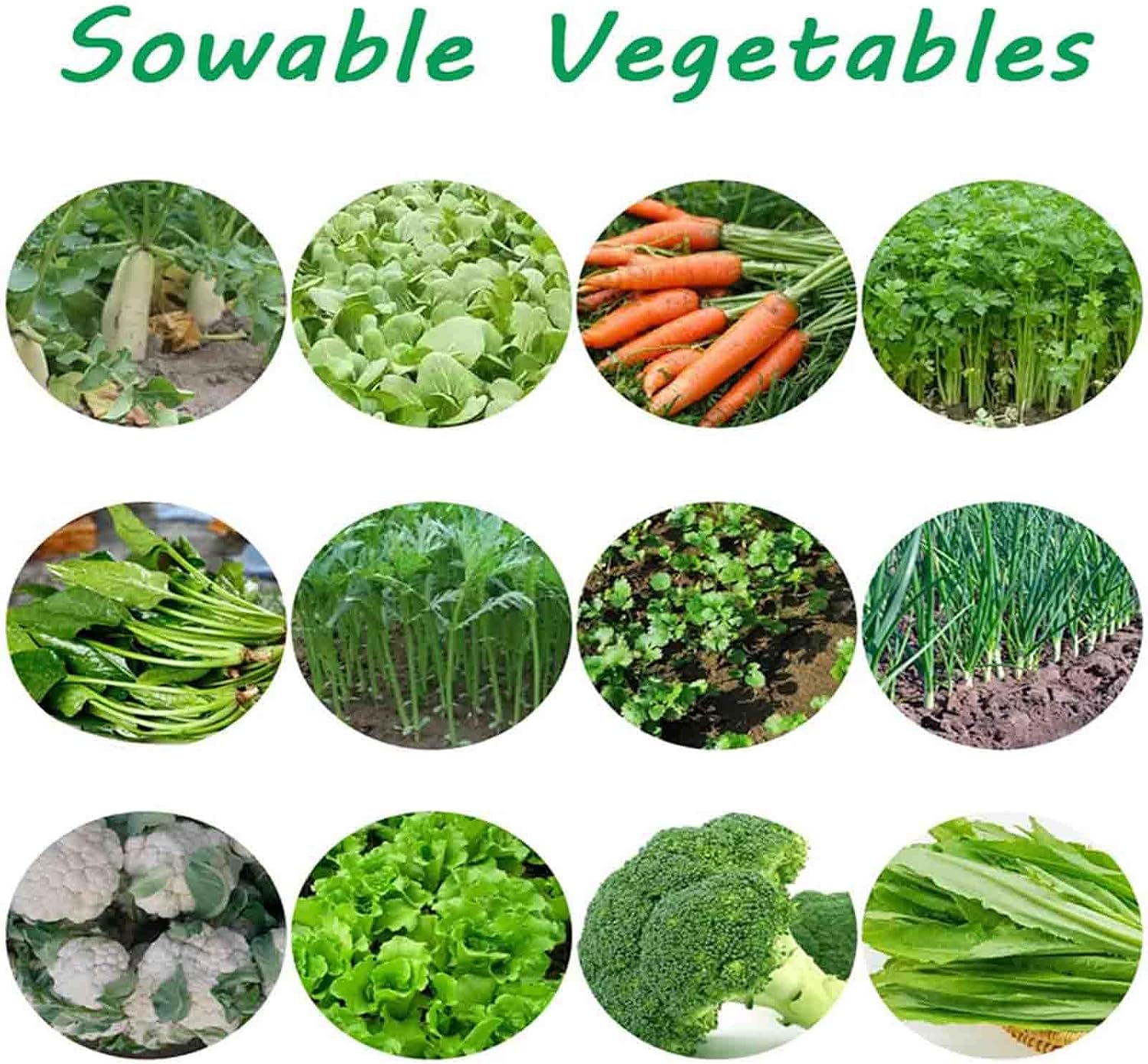 Manual Garden Seeder - Hand Push Vegetable Planter with 3 Row Precision Sowing & Fertilization, Efficient Seed Spreader & Fertilizer Applicator for Easy Planting