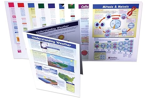 NewPath Learning 10 Piece Mastering Science Visual Learning Guides Set, Grade 7