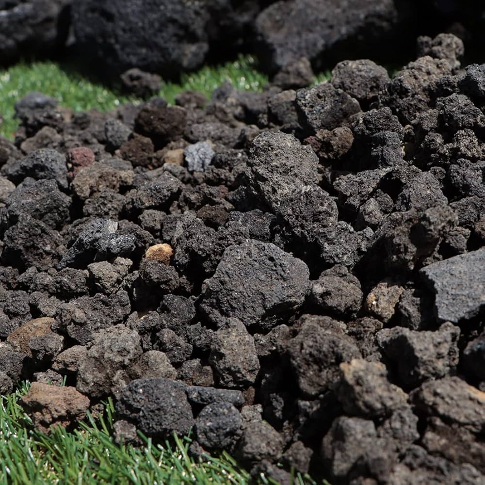 Amazon.co.jp: 溶岩砂利 ブラック 0-20mm 1000g : ペット用品