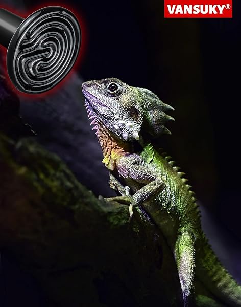 100W Lampe Chauffante en Céramique pour Reptiles et Animaux – Émetteur de Chaleur Infrarouge Sans Lumière, Durable, 220-240V – Idéal pour Lézards, Serpents, Poussins, Hamsters - 5