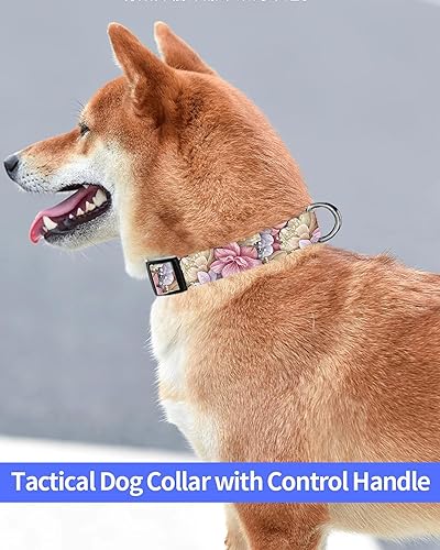 Miniatura 3 de SXboxing Collar de perro, lindo collar de perro para perros pequeños, medianos y grandes, collares suaves personalizados ajustables para mascotas