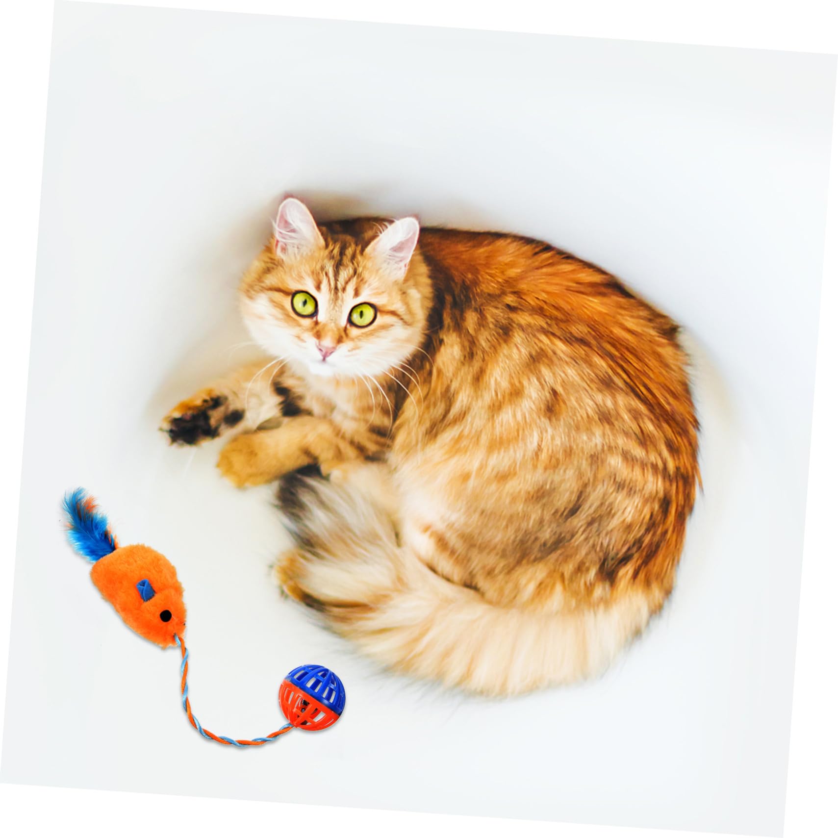 ERINGOGO Chat Interactif avec Souris Peluche et Clochette Plastique Orange Intérieur pour Chaton Accessoire de Capture et Stimulation Mentale