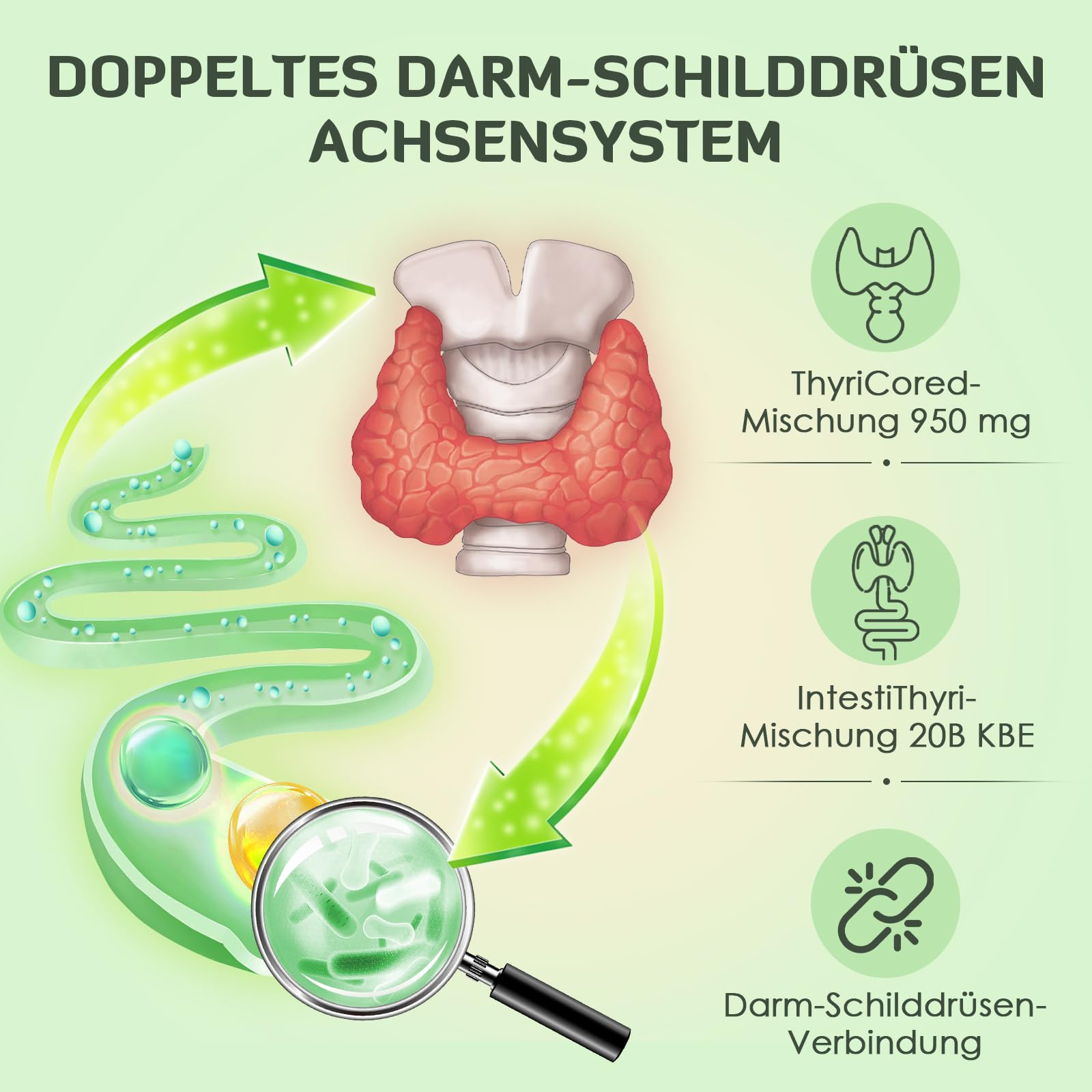 Schilddrüsen-Komplex für Frauen, Smart-Release Mikrosphärenkapseln, mit Jod, Selen, Ashwagandha & 20 Mrd. KBE Probioc, Nicht-GVO (120 Stück (4er Pack))