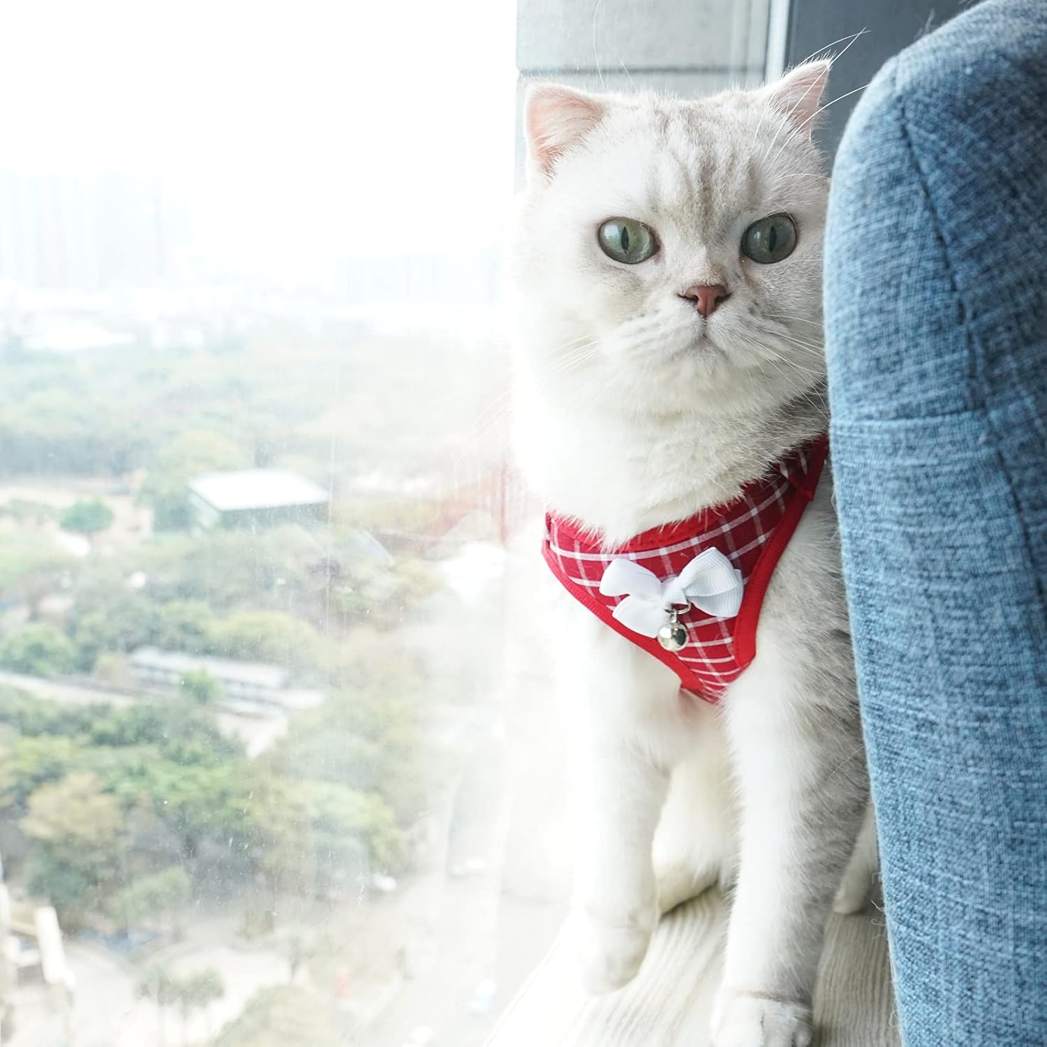 Aumuca Cat Harness and Leash for Walking Escape Proof with Bell and Bow-Knot Decoration,Adjustable Soft Kittens Vest for Cats,Cat Walking Harness,Step-in Comfortable Outdoor Vest(Red,XS)