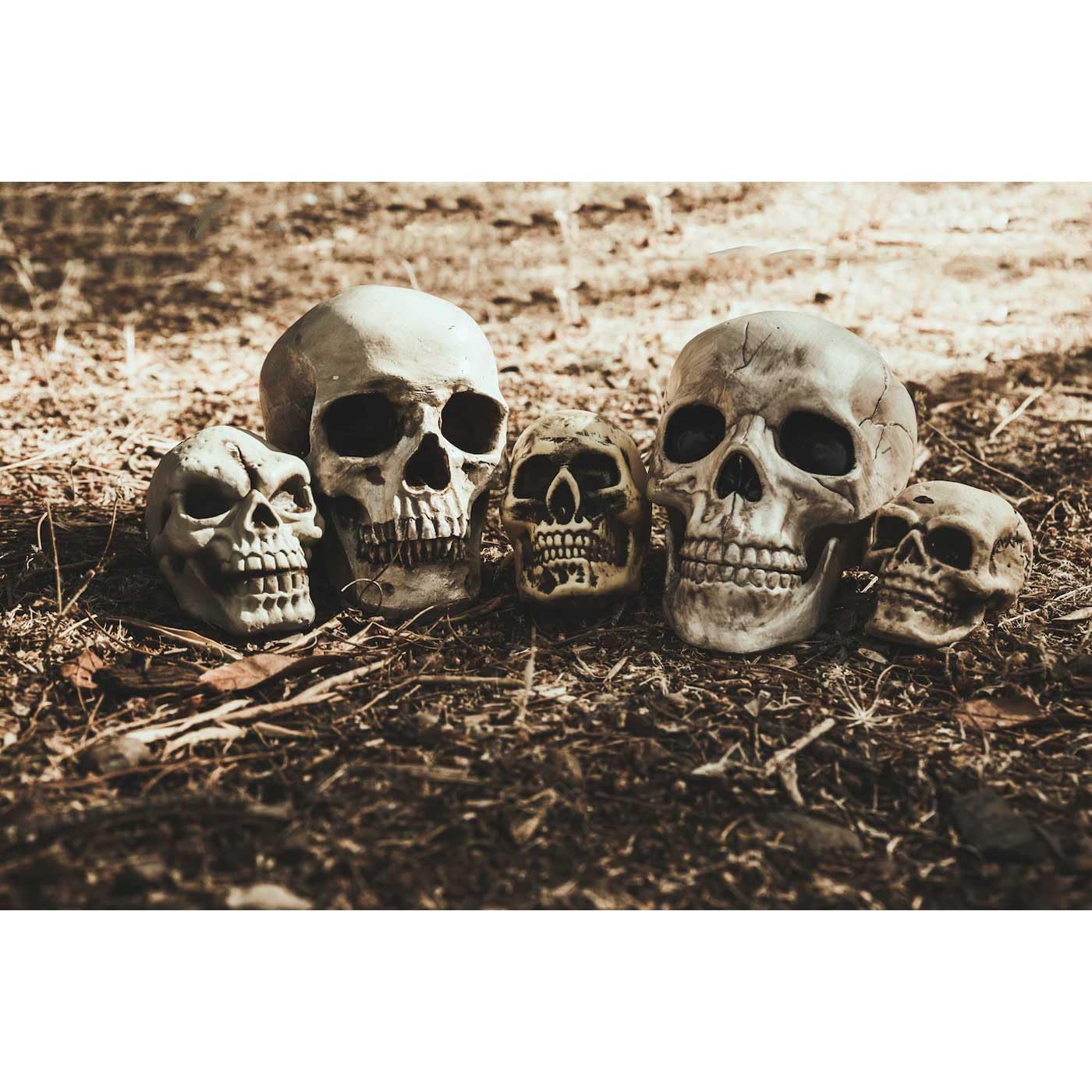 Tradineur - Pack de 6 Calavera para Halloween, plástico, cráneo, decoración de interior, carnaval, fiestas, celebraciones, 15 cm