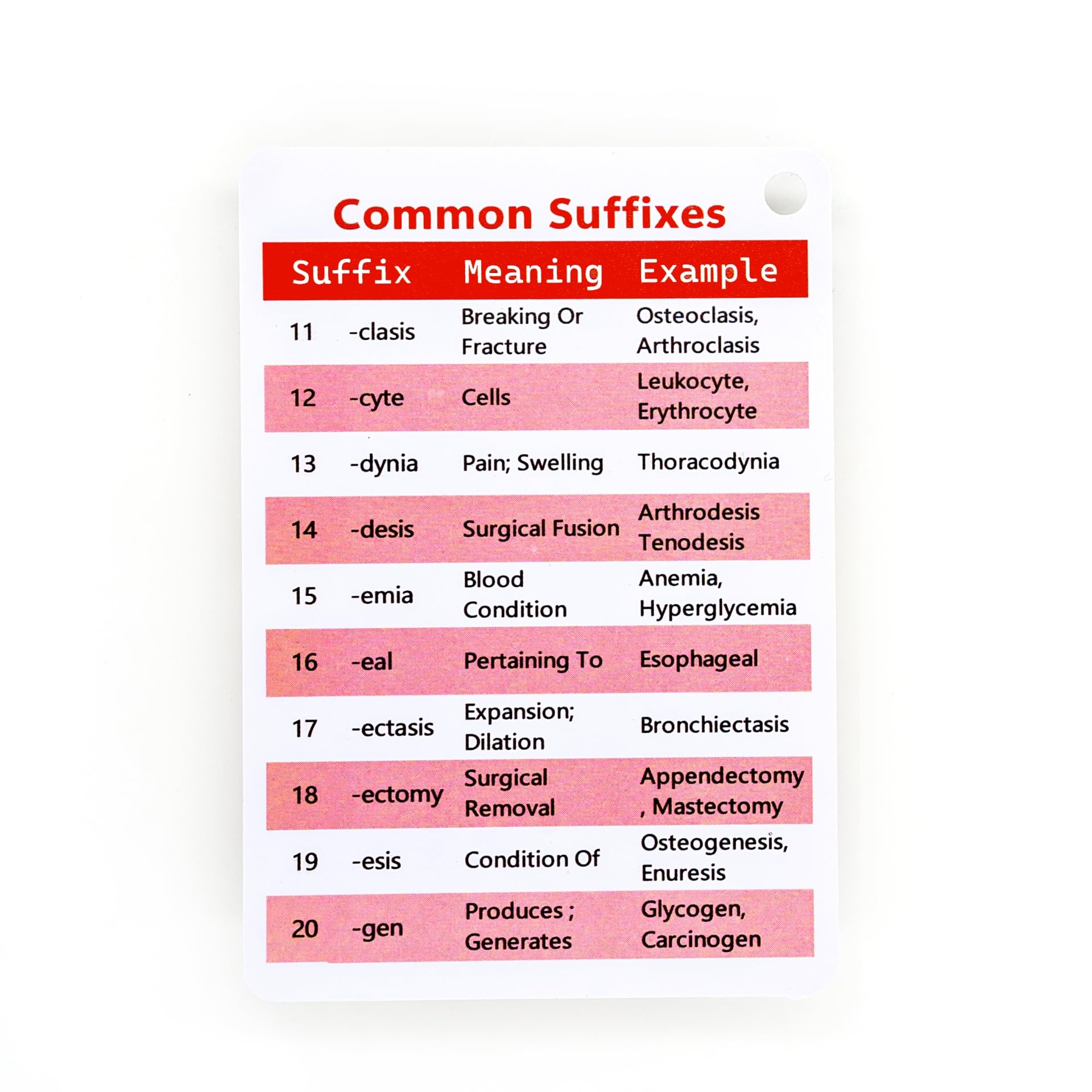 Medical Terminology Flash Cards 2025 - Essential Accessories for Paramedic & Pharmacology Flash Cards | Learn 187 Prefixes & 81 Suffixes with Ease | Nursing School Bundle & LPN Must-Haves - Image 7