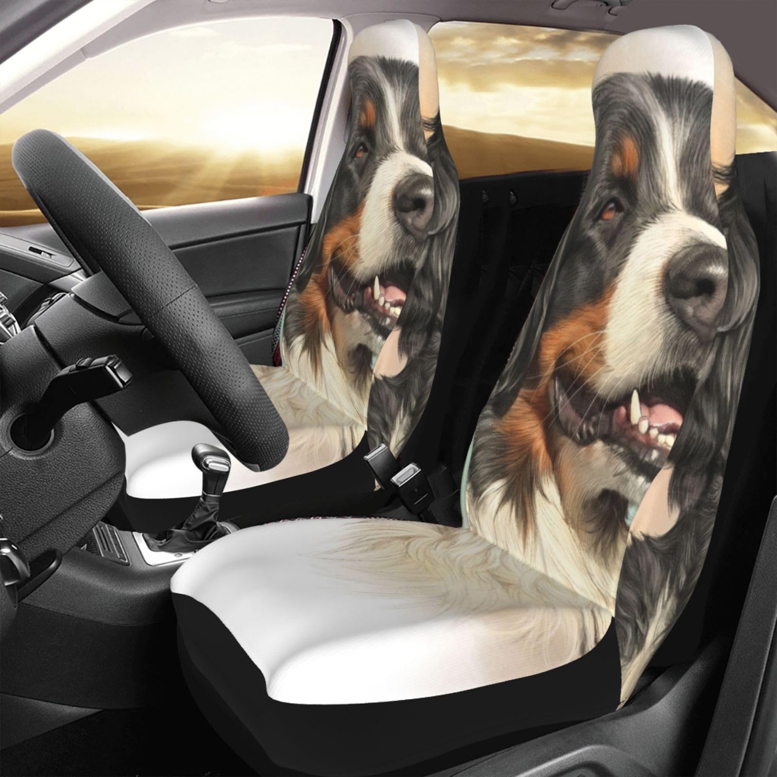 Funda de coche para Boyero de Berna que protege el asiento delantero de pelos y arañazos 7
