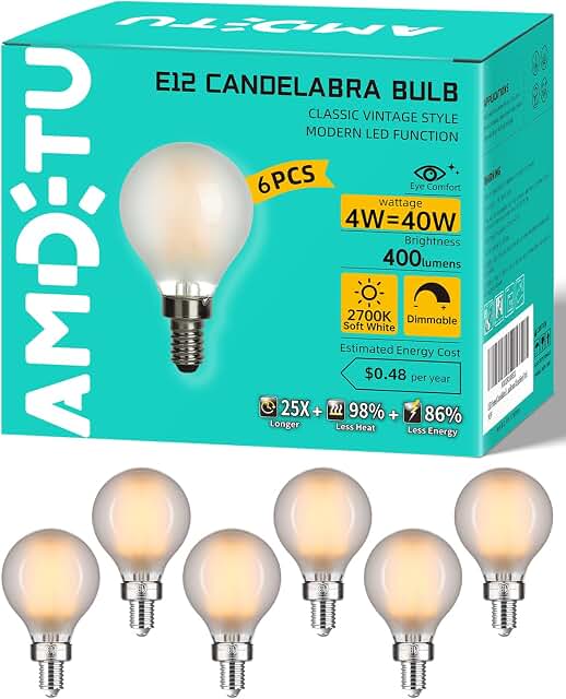 AMDTU Frosted Globe E12 Bulbs