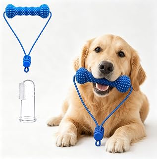 Bornoon 犬用歯磨きおもちゃ デンタルトイ 頑丈 ゴム製のスティック 犬用噛むおもちゃ 骨型 耐久性 ストラップ付き，本体＋指サック歯ブラシ1個 | 引っ張り遊び 歯石ケア ストレス解消 知育玩具 訓練玩具 留守番 ストレス発散 小型犬 中型犬対応