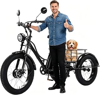 24 E BIK Herren Damen Elektro-Dreirad Für Erwachsene Faltbares E-Bike 3 Rad Elektrodreirad FüR Senioren mit Aufbewahrungskorb Höhe Einstellbare Tragfähigkeit 200kg C