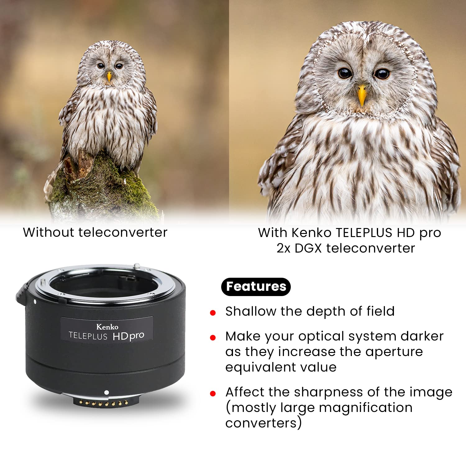 Kenko Teleconverter Teleplus HD PRO 2x DGX per Nikon F, prodotto in Giappone, 625293