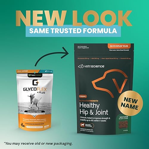 Miniatura 3 de VETRISCIENCE Glycoflex 3 Clinically Proven Hip and Joint Supplement with Glucosamine for Dogs - Vet Recommended Mobility Support Supplement with DMG