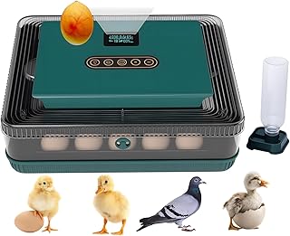 Ovatt 25 Egg Incubator, Automatic Poultry Hatcher with Digital Temperature & Humidity Control, LED Display, Automatic Egg Turner for Chicken, Duck & Goose Eggs, Ideal for Home & Small Farms