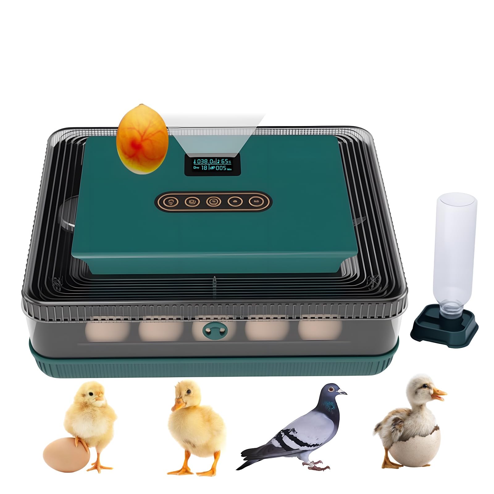 その他 x Amazon.com: Ovatt 25 Egg Incubator, Automatic Poultry
