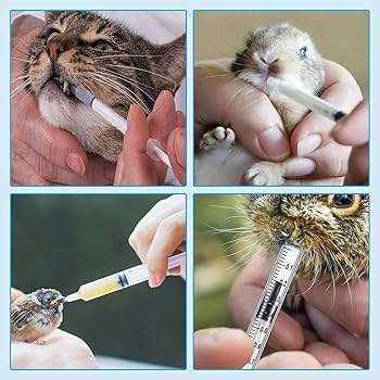 Amazon.co.jp: Doyime ペット 投薬器 シリンジ (30枚 1ml