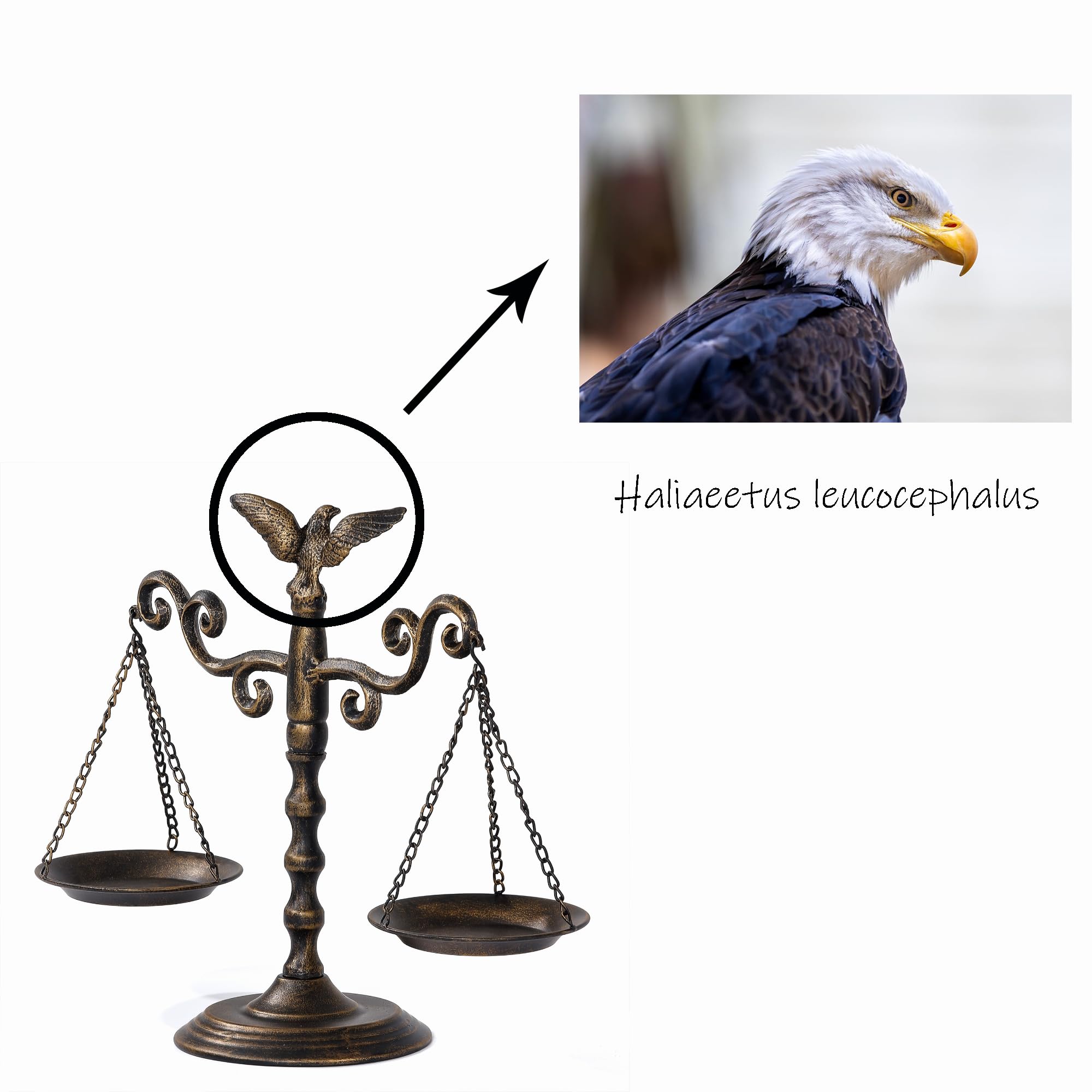 Wenbery Libra Decor: Vintage Justice Scales, Table Decor (13.38