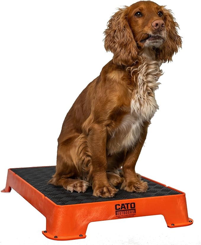 Pet Supplies Cato Board Dog Training Platform (Orange, Rubber