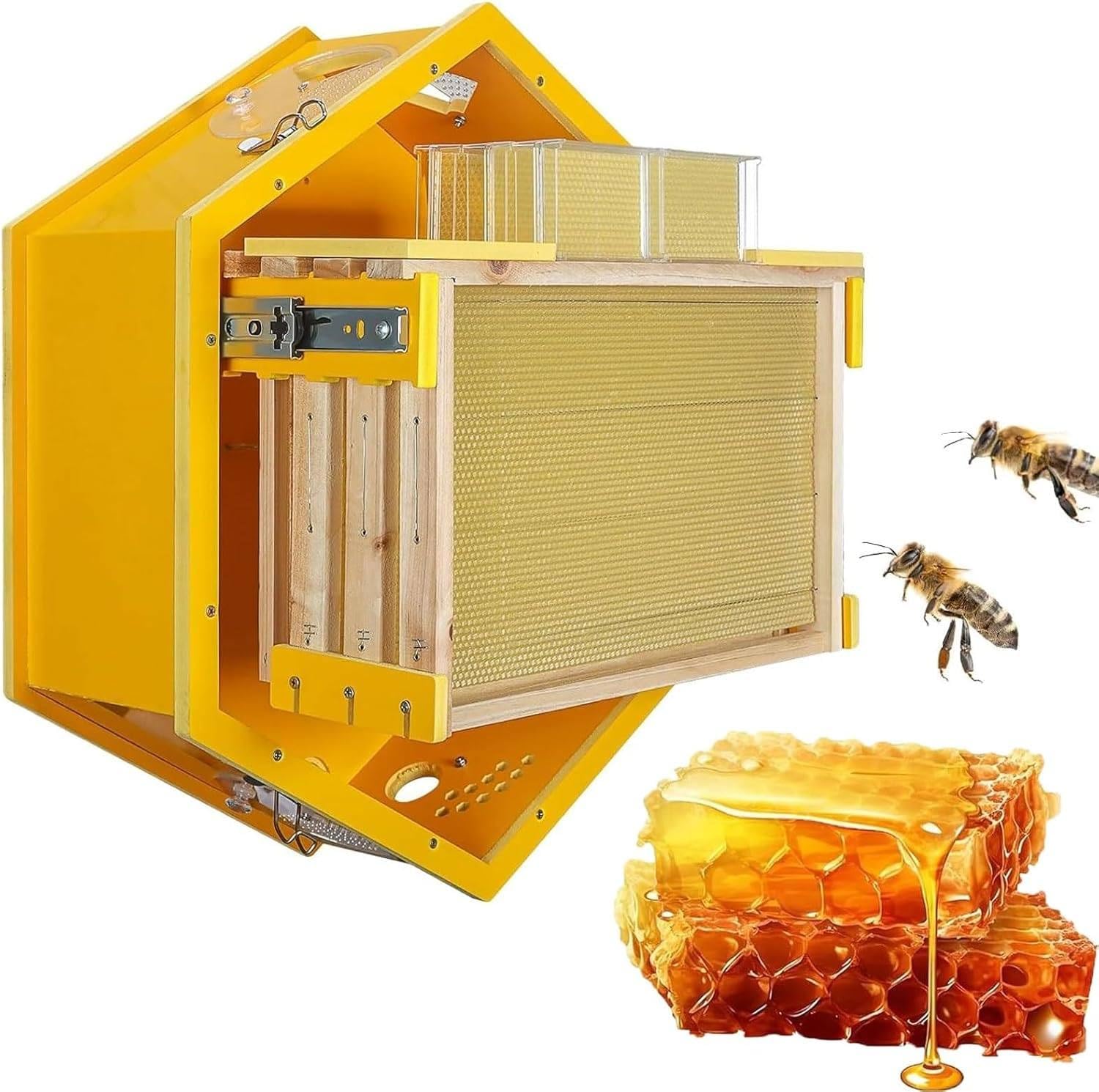 Indoor Wall-Mounted Beehive, Observation Beehive Starter Kit with 3 Frames & 6 Honeycomb Trays, Acrylic Viewing Window, Hexagon Bee Hive for
