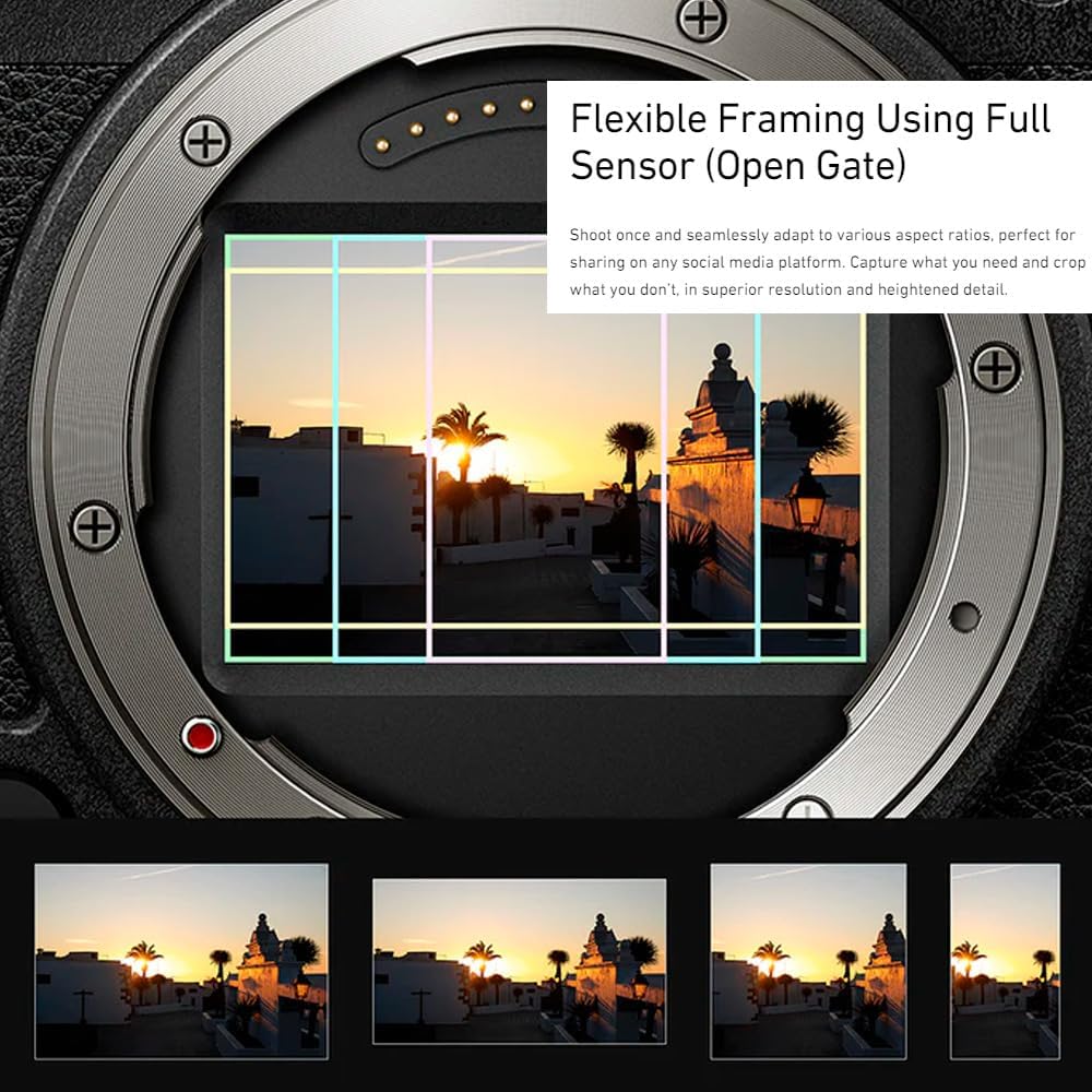 Panasonic LUMIX S9 Full Frame Camera Body with Phase Auto Focus Bundle with 128GB SD Card, 280MBPS Read Speed and Lithium-Ion Battery Pack (3 Items)