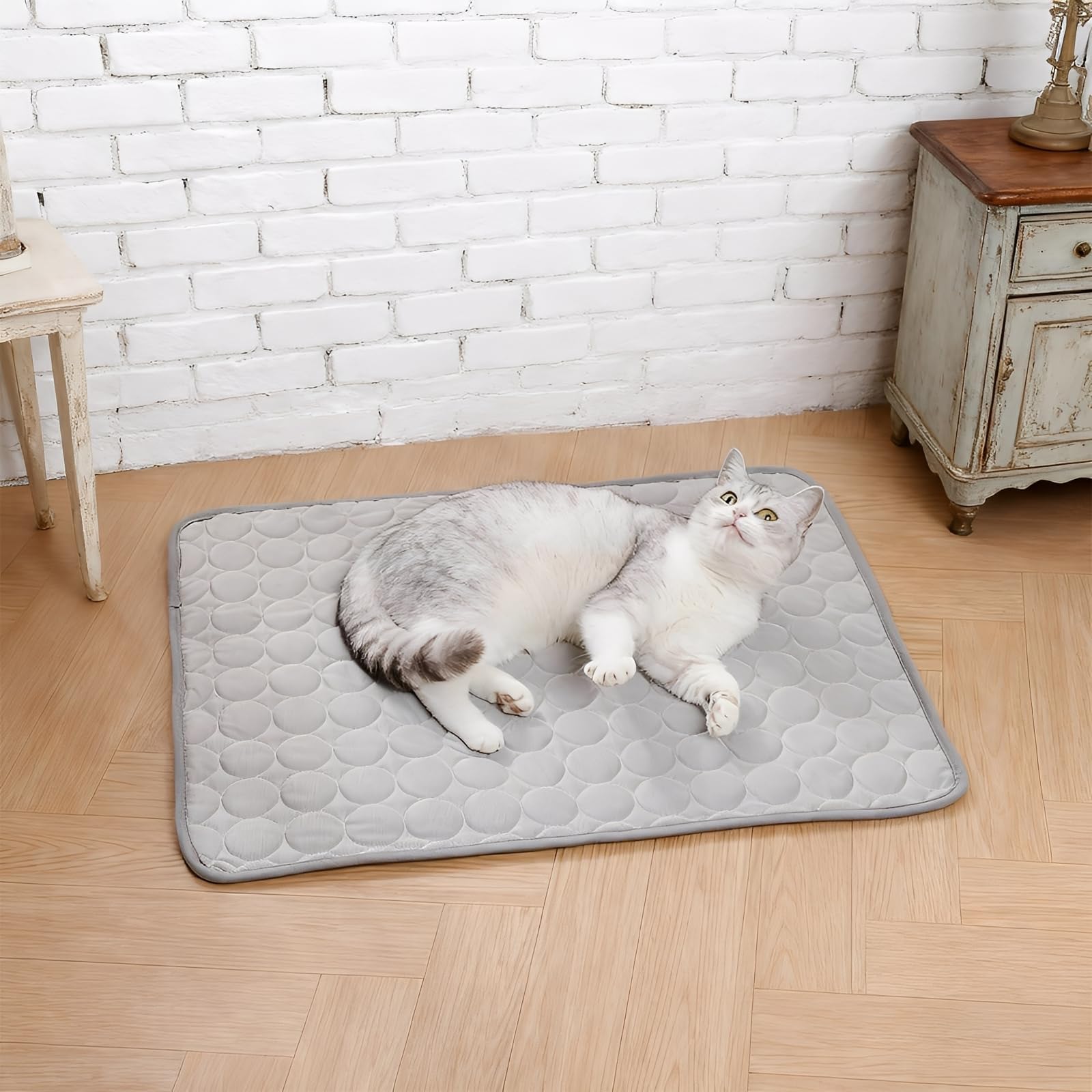 Manta Refrescante para Perros, 100 × 70 cm Colchoneta Perro, Seda Hielo Manta Fria para Perros, Gris Alfombra Refrescante Perro, Alta Disipación Térmica, Suave, Adecuada para Perro y Gatos