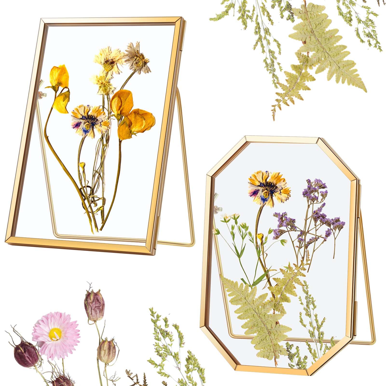 Qunclay 2-Pack Glass Pressed Flower Frames (4x6 Inch) - Gold Floating Display Frames, Octagon & Rectangle - View #8