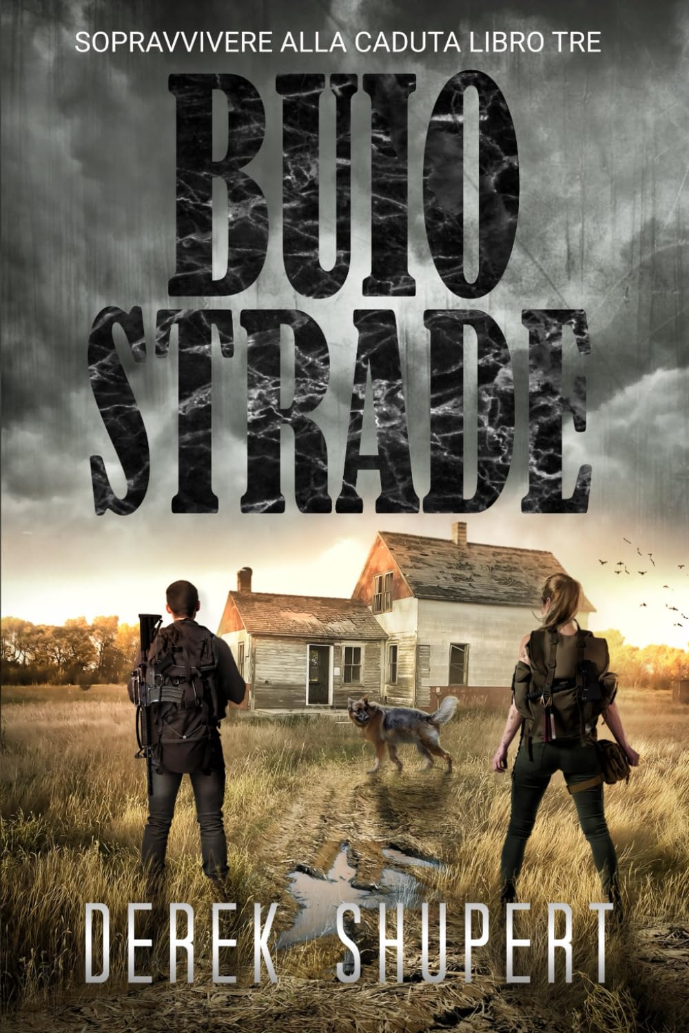 Buio Strade (Survive the Fall)