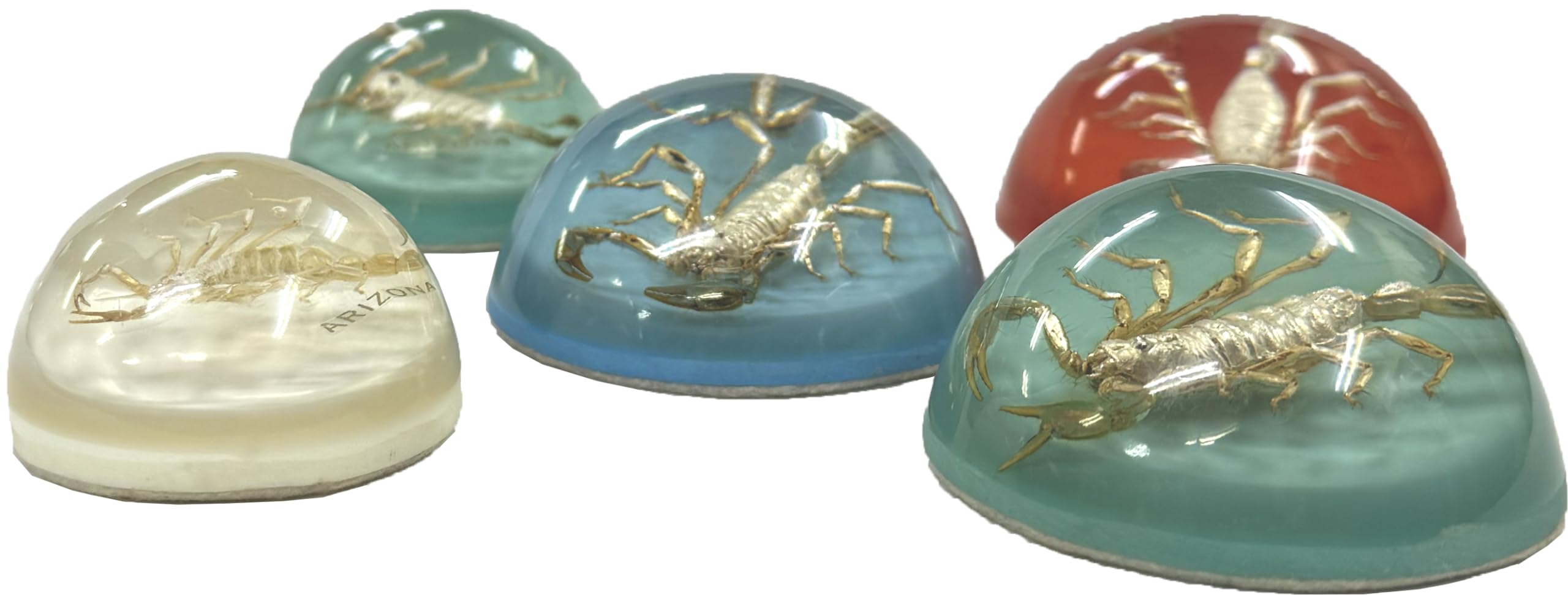 Amazon.co.jp: スコーピオン ペーパー ウェイト Scorpion Paper Weight