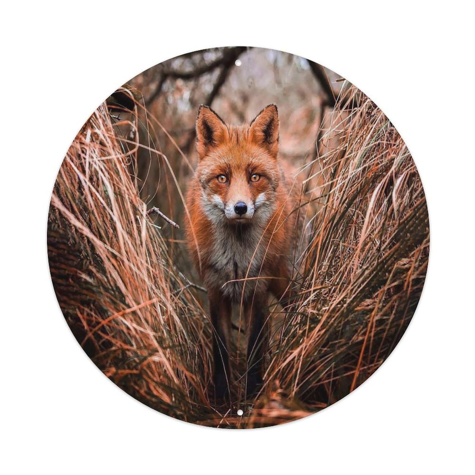 Red Fox Rustic Wildlife Forest Animal Vintage Metal Tin Sign