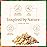 SVA Frankincense Essential Oil - 1/3 Fl Oz - 100% Natural Boswellia Carterii Oil - for Diffuser, Hair Care, Face, Skin Care, Aromatherapy, Scalp and Body Massage, Soap and Candle Making