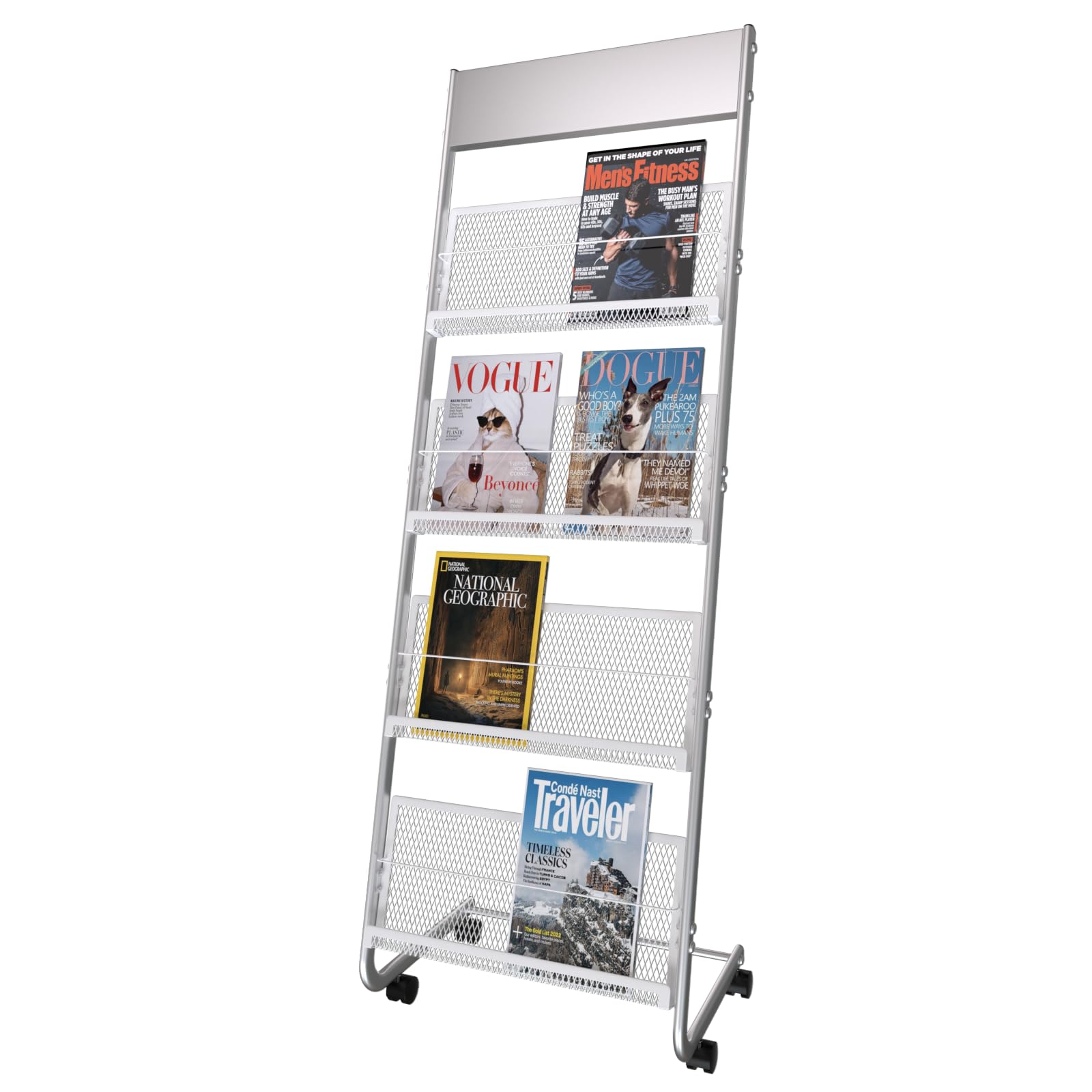 Modern Zeitschriftenständer Prospektständer Zeitungsständer mit 4 Fächern, Silber
