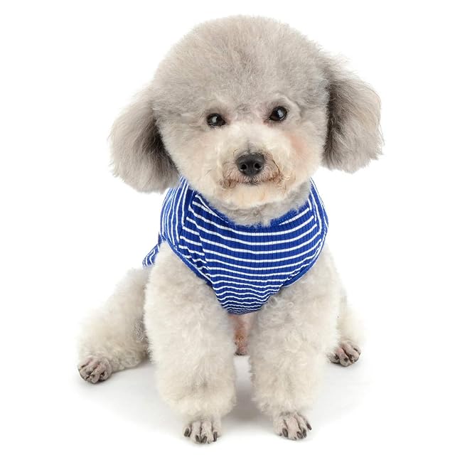 Foto 3 de 7 de SMALLLEE_LUCKY_STORE Ropa para Mascotas
