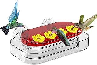 1 Window Bird Feeding Hummingbird, Feeding Hummingbird with Powerful Suction Cups, Plastic Hummingbird Feeding, with 2 Feeding Ports, 10 Ounces