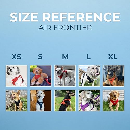 Miniatura 6 de Air Frontier - Arnés de malla para perro con correa reflectante para perro, costuras reflectantes y diseño ligero transpirable sin tirones, correas